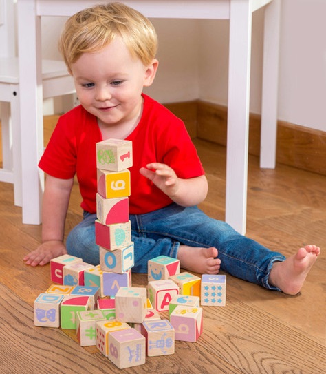 Le toy Van abc block set